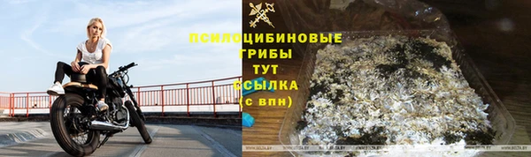 ГАЛЛЮЦИНОГЕННЫЕ ГРИБЫ Каменск-Шахтинский