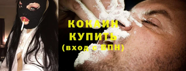 мет Каменка