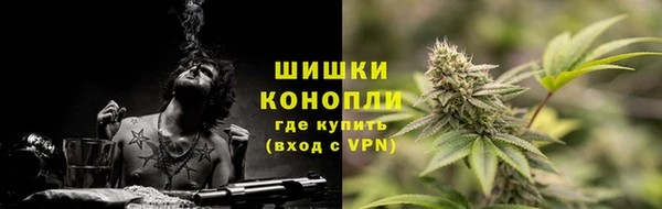 амф Каменногорск