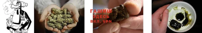 ГАЛЛЮЦИНОГЕННЫЕ ГРИБЫ Каменск-Шахтинский