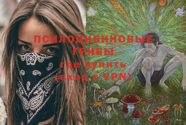 мет Каменка