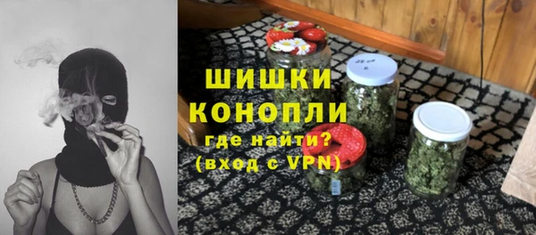 амф Каменногорск