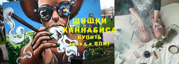 мет Каменка