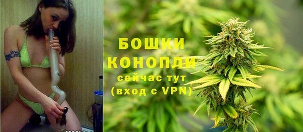 ГАЛЛЮЦИНОГЕННЫЕ ГРИБЫ Каменск-Шахтинский