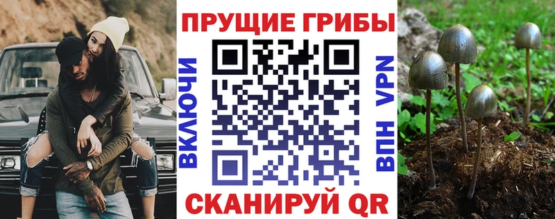 Купить где  Жигулёвск  Галлюциногенные грибы мухоморы 